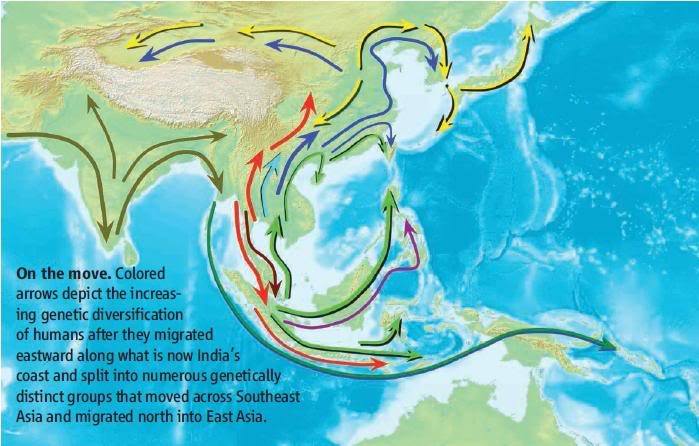 Nenek Moyang Orang Asia Asalnya dari Nusantara/Asia Tenggara