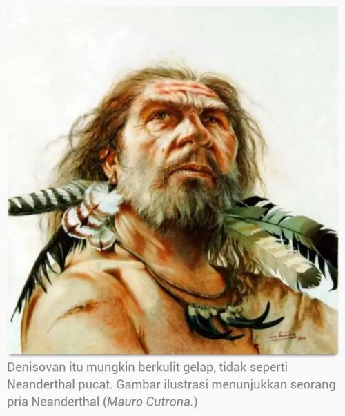 Ilmuwan Buat Peta Persebaran Keturunan Neanderthal …