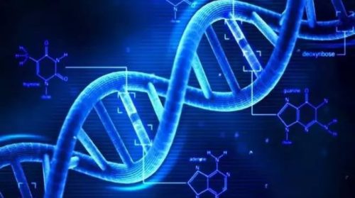 Ada Virus Kuno dalam DNA Manusia