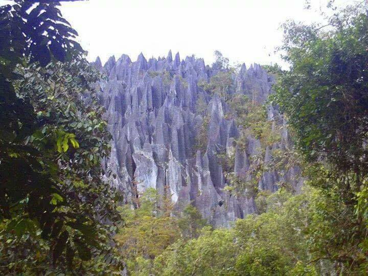 Situs Kota Purba Luwu Timur, Sulawesi Selatan