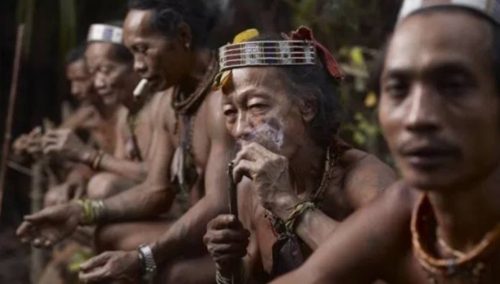 5 Hal yang Membuat Suku Dayak Disegani Dunia. …