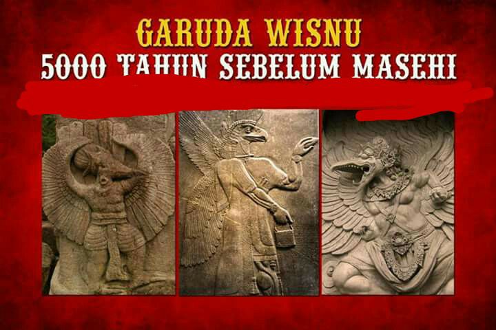 Proses panjang evolusi burung garuda…