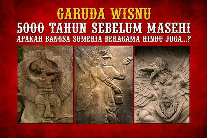 Proses panjang evolusi burung garuda…