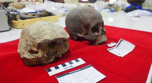 Tengkorak Homo Erectus Ditemukan di Jawa Tengah …