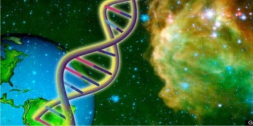 DNA adalah suatu asam nukleat yang menyimpan …